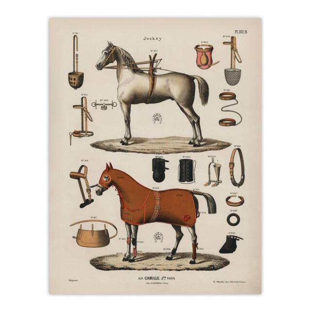 "Artery8 Horseback Riding Camille Jeune Vintage Wall Art Print Poster in Beige - Size: W12"" x H16""" - image 1