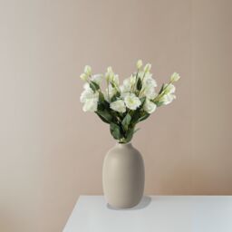 Pegdev Pack of 6 80cm Artificial White Wild Rose Stems with Silk Flowers - thumbnail 3