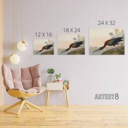 "Artery8 Audubon Birds Glossy Ibis Painting Canvas Wall Art Print - Size: W18"" x H24""" - thumbnail 4