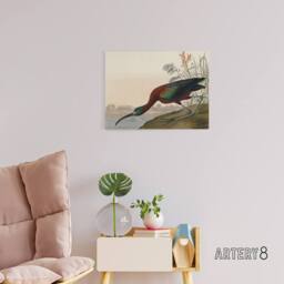 "Artery8 Audubon Birds Glossy Ibis Painting Canvas Wall Art Print - Size: W18"" x H24""" - thumbnail 3