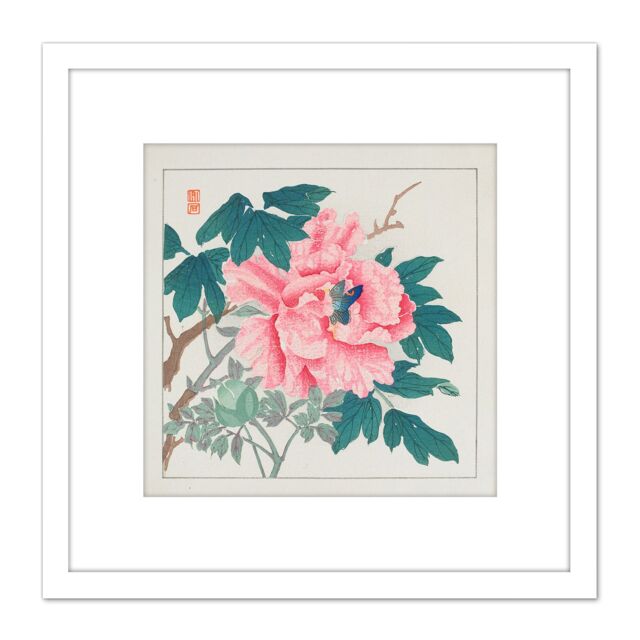 Artery8 Peony 1930s Chikuseki Flower 8X8 Inch Square Wooden Framed Wall Art Print Picture with Mount in White - image 1