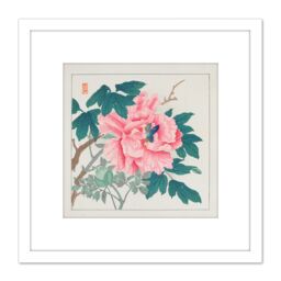 Artery8 Peony 1930s Chikuseki Flower 8X8 Inch Square Wooden Framed Wall Art Print Picture with Mount in White - thumbnail 1