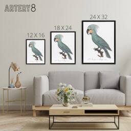 "Artery8 The Palm Cockatoo Parrot Francois Levaillant Framed Canvas Wall Art in White - Size: W12"" x H16""" - thumbnail 4