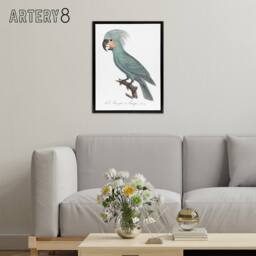 "Artery8 The Palm Cockatoo Parrot Francois Levaillant Framed Canvas Wall Art in White - Size: W12"" x H16""" - thumbnail 3