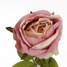Leaf Pack of 6 x 70cm Artificial Light Pink Rose - Size: 6 x 70 cm - thumbnail 2