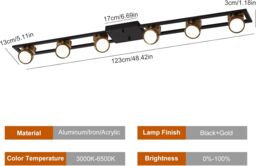 Garwarm Modern Dimmable LED Ceiling Lights Living Room in Black - thumbnail 2