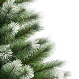 Berkfield Home Beautiful Artificial Hinged Christmas Tree with Flocked Snow 150 cm in Green - thumbnail 5