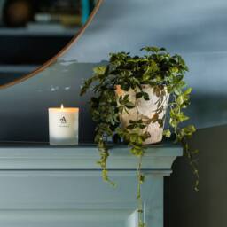 ARRAN Sense of Scotland Uplift - Bergamot & Grapefruit - Candle in Clear - thumbnail 4