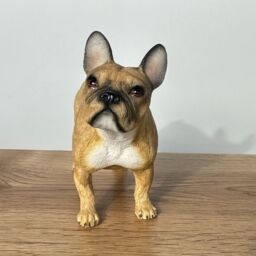 Animal Crackers Tan French Bulldog Figurine By Leonardo, Gift Boxed - thumbnail 5