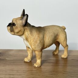 Animal Crackers Tan French Bulldog Figurine By Leonardo, Gift Boxed - thumbnail 6