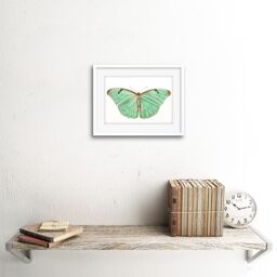 "Artery8 Wall Art Print Butterfly Turquoise Art Framed 9x7 inch in White - Size: W7"" x H9""" - thumbnail 2