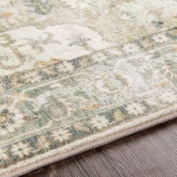 Livabliss Erin-Traditional Green Grey Cream Brown Traditional Boho Living Dining Rug in Blue - Size: 200 cm x 275 cm - thumbnail 3