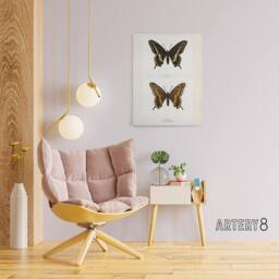 "Artery8 Black Swallowtail Butterfly Sherman Denton Canvas Wall Art Print in White - Size: W12"" x H16""" - thumbnail 3