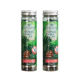 Samuel Alexander 2 PACKS of 6 Scentsicles Scented Hanging Ornaments Sticks - White Winter Fir in Green - thumbnail 7