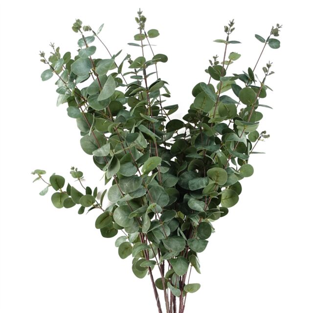 Leaf Pack of 6 x 100cm Artificial Eucalyptus Foliage in Green - Size: 6 x 100 cm - image 1