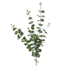Leaf Pack of 6 x 100cm Artificial Eucalyptus Foliage in Green - Size: 6 x 100 cm - thumbnail 3
