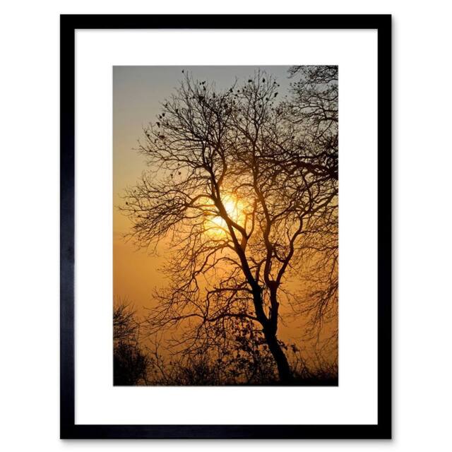 "Artery8 Sunrise Backlight Silhouette Tree Home Decor 12x16"" Framed Art Print in Brown - Size: W12"" x H16""" - image 1