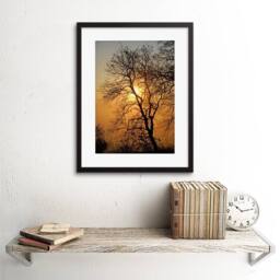 "Artery8 Sunrise Backlight Silhouette Tree Home Decor 12x16"" Framed Art Print in Brown - Size: W12"" x H16""" - thumbnail 2