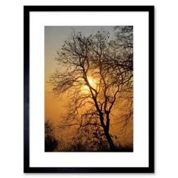 "Artery8 Sunrise Backlight Silhouette Tree Home Decor 12x16"" Framed Art Print in Brown - Size: W12"" x H16""" - thumbnail 1