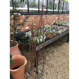 Poppyforge Hampton 6Ft Obelisk, Plant Border Support - Steel - BM/RtR in Black - thumbnail 2
