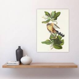 "Artery8 Mangrove Cuckoo Apple Flower Audubon Nature Wall Art Print Poster in White - Size: W18"" x H24""" - thumbnail 4