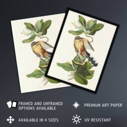 "Artery8 Mangrove Cuckoo Apple Flower Audubon Nature Wall Art Print Poster in White - Size: W18"" x H24""" - thumbnail 2