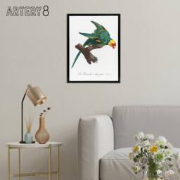 "Artery8 The Yellow Crowned Parakeet Levaillant Framed Canvas Wall Art Print in White - Size: W12"" x H16""" - thumbnail 3