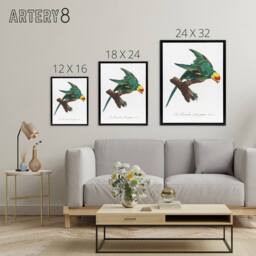 "Artery8 The Yellow Crowned Parakeet Levaillant Framed Canvas Wall Art Print in White - Size: W12"" x H16""" - thumbnail 4