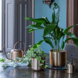 Royal Botanic Gardens Kew Kew Matt Brass Watering Can 19Cm - Metal -Light Weight - Premium Quality in Gold - thumbnail 5