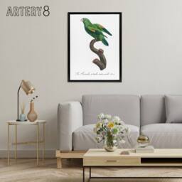 "Artery8 The Marigold Lorikeet Parrot Levaillant Framed Canvas Wall Art Print in White - Size: W18"" x H24""" - thumbnail 3