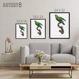 "Artery8 The Marigold Lorikeet Parrot Levaillant Framed Canvas Wall Art Print in White - Size: W18"" x H24""" - thumbnail 4
