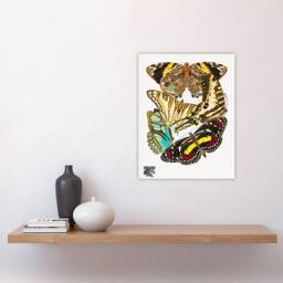 "Artery8 Papillons Butterflies Vintage Wall Art Print Eugene Seguy - Size: W12"" x H16""" - thumbnail 4
