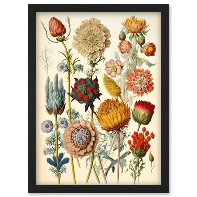 Artery8 Vintage Botanical Ernst Haeckel Inspired Plant Study Modern Watercolour Painting Illustration Artwork Framed Wall Art Print A4 in Black - image 1