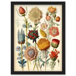 Artery8 Vintage Botanical Ernst Haeckel Inspired Plant Study Modern Watercolour Painting Illustration Artwork Framed Wall Art Print A4 in Black - thumbnail 1