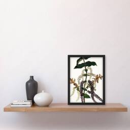 Artery8 Sarah Featon Framed Wall Art New Zealand Tutu Plant Vintage Illustration in Beige - Size: A4 - thumbnail 2