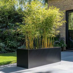 Woven Wood 100cm Zinc Galvanised Matte Black Trough Planter - thumbnail 2