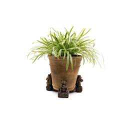Jardinopia Koala Bear Plant Pot Feet - Set of 3 - L6 x W9 x H11 cm in Bronze - thumbnail 6