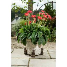 Jardinopia Koala Bear Plant Pot Feet - Set of 3 - L6 x W9 x H11 cm in Bronze - thumbnail 8