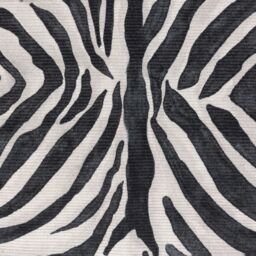 Paoletti Leopardis Zebra Printed Indoor/Outdoor Rug - Size: 120 cm x 170 cm - thumbnail 4