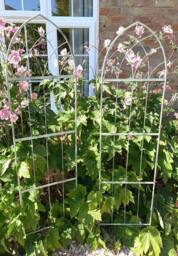 Inspirational Gifting Pair of Verdigris Arched Trellis in Green