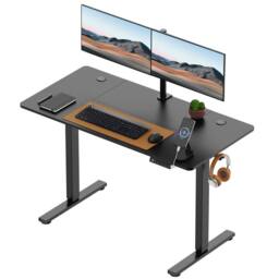 NESTLUNE 120x60cm Electric Standing Desk for Home Office in Black - Size: 100 cm x 15 cm