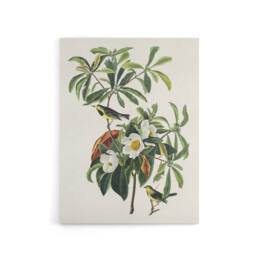 "Artery8 Bachman's Warbler & Franklinia Tree Audubon Canvas Wall Art in White - Size: W18"" x H24""" - thumbnail 1