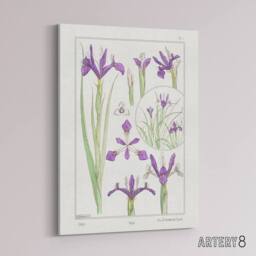 "Artery8 Purple Iris Flower Canvas Wall Art Print Vintage Floral Verneuil in White - Size: W12"" x H16""" - thumbnail 2