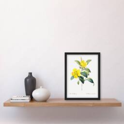 Artery8 Golden Guinea Vine Flowers Redoute Vintage Framed Wall Art Print in White - Size: A4 - thumbnail 4