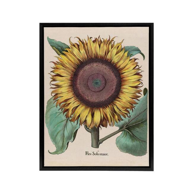 "Artery8 Sunflower Flos Solis Maior Flower Framed Canvas Wall Art Print - Size: W18"" x H24""" - image 1