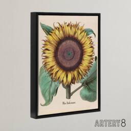 "Artery8 Sunflower Flos Solis Maior Flower Framed Canvas Wall Art Print - Size: W18"" x H24""" - thumbnail 2
