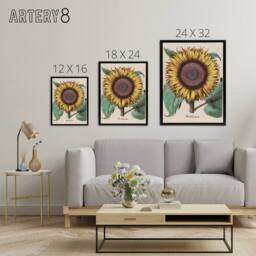 "Artery8 Sunflower Flos Solis Maior Flower Framed Canvas Wall Art Print - Size: W18"" x H24""" - thumbnail 4