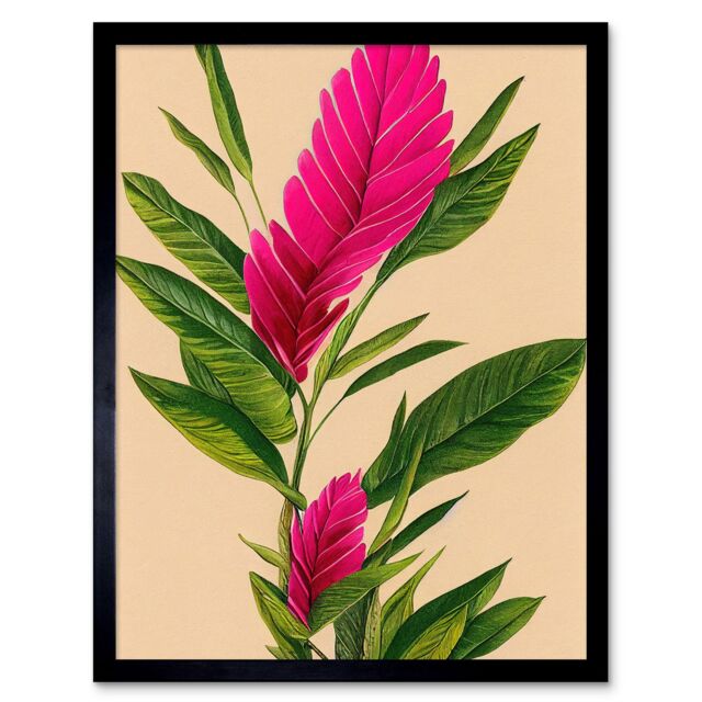 "Artery8 Wall Art Print Tropical Hawaiian Botanical Exotic Pink Floral Art Framed in Black - Size: W12"" x H16""" - image 1