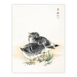 Artery8 Kashu Framed Wall Art Black Brant Geese Pictorial Monograph Of Birds in Beige - Size: A4 - thumbnail 3