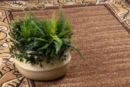 RugsX Morad Rug in Brown - Size: 80 cm x 150 cm - thumbnail 5